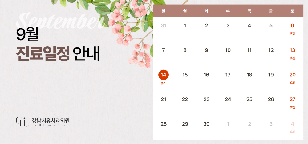 진료일정